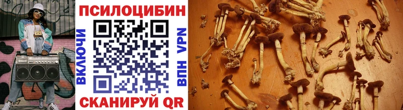 Галлюциногенные грибы ЛСД  продажа наркотиков  Соль-Илецк 