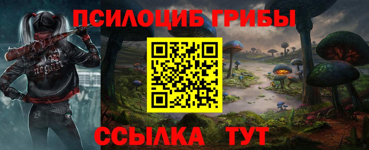 как найти закладки  Галлюциногенные грибы Cubensis  Вход с VPN  Соль-Илецк 